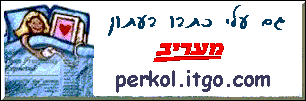 Sarit Perkol's Internet columns