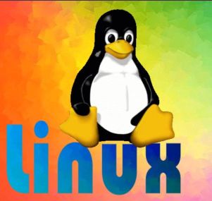 Linux Penguin