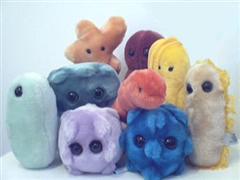 giant microbes